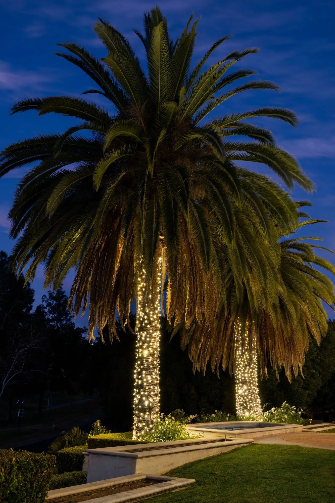 Christmas Light Installation in Keller, TX